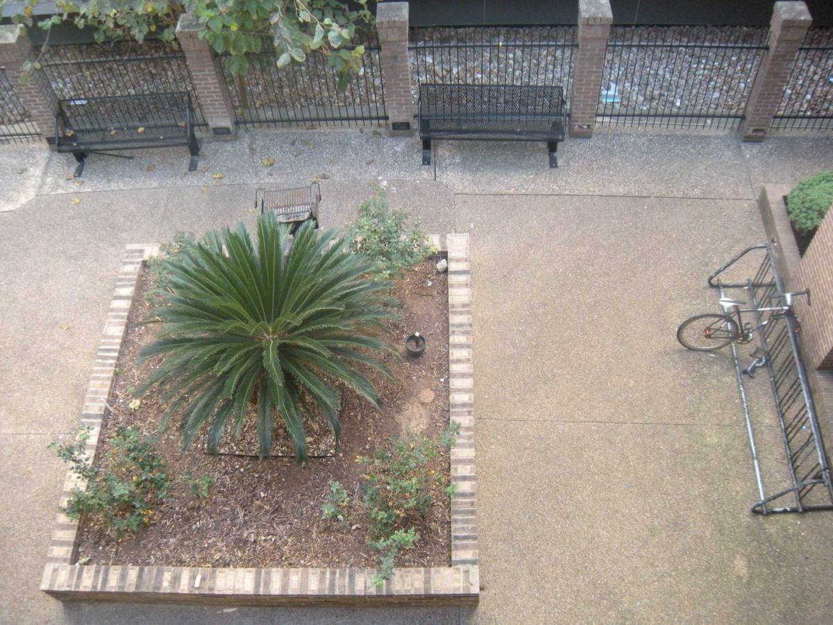 Apartment for rent at 704 W 21st St, Austin, TX 78705