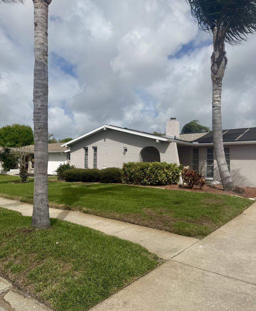 House for rent at 8135 Brown Pelican Ave, New Port Richey, FL 34653