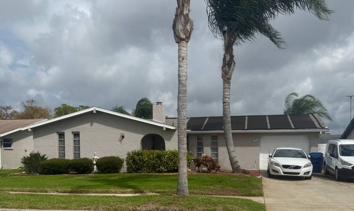 House for rent at 8135 Brown Pelican Ave, New Port Richey, FL 34653