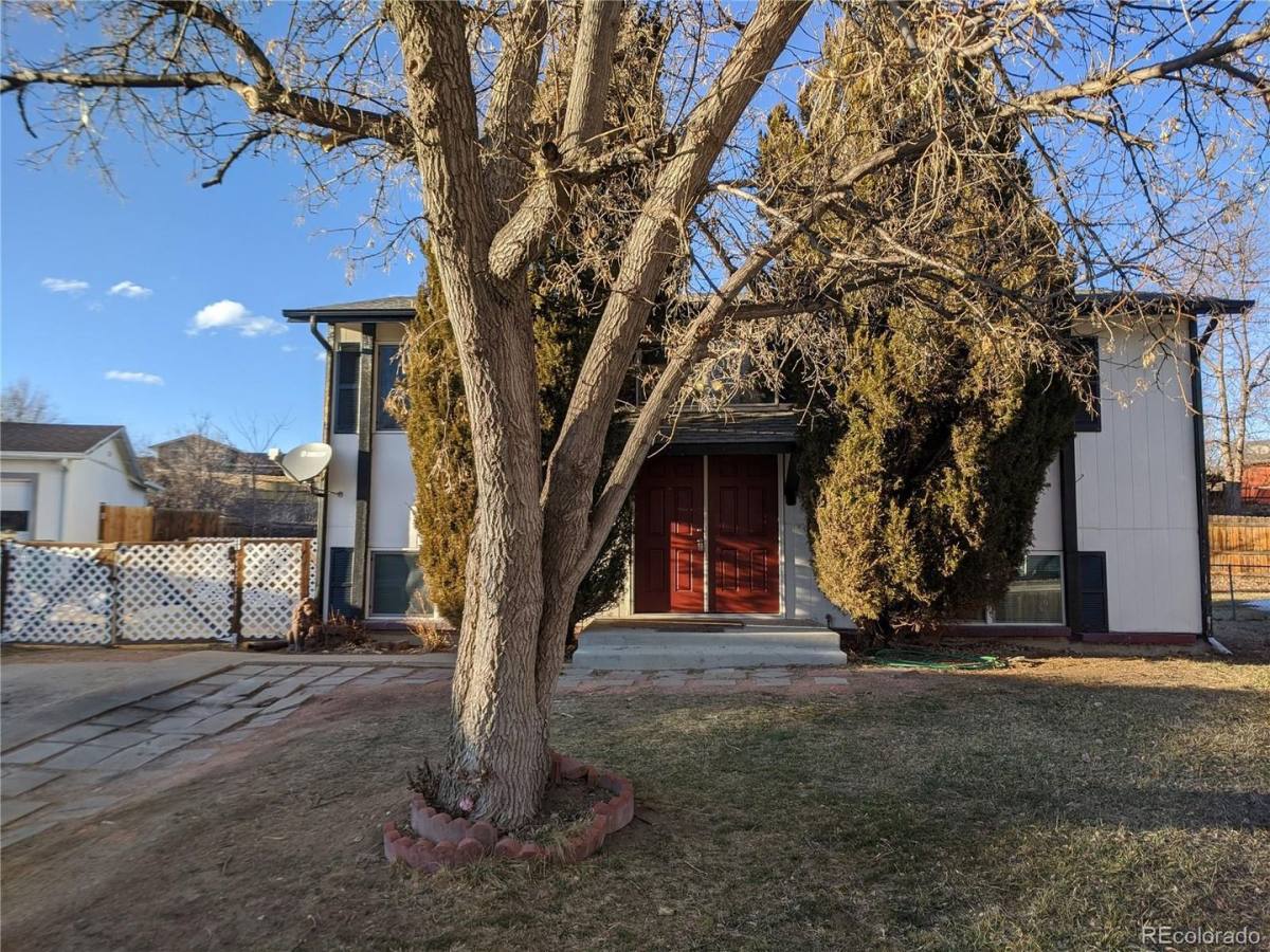 House for rent at 6182 Devilshead Court, Golden, CO 80403