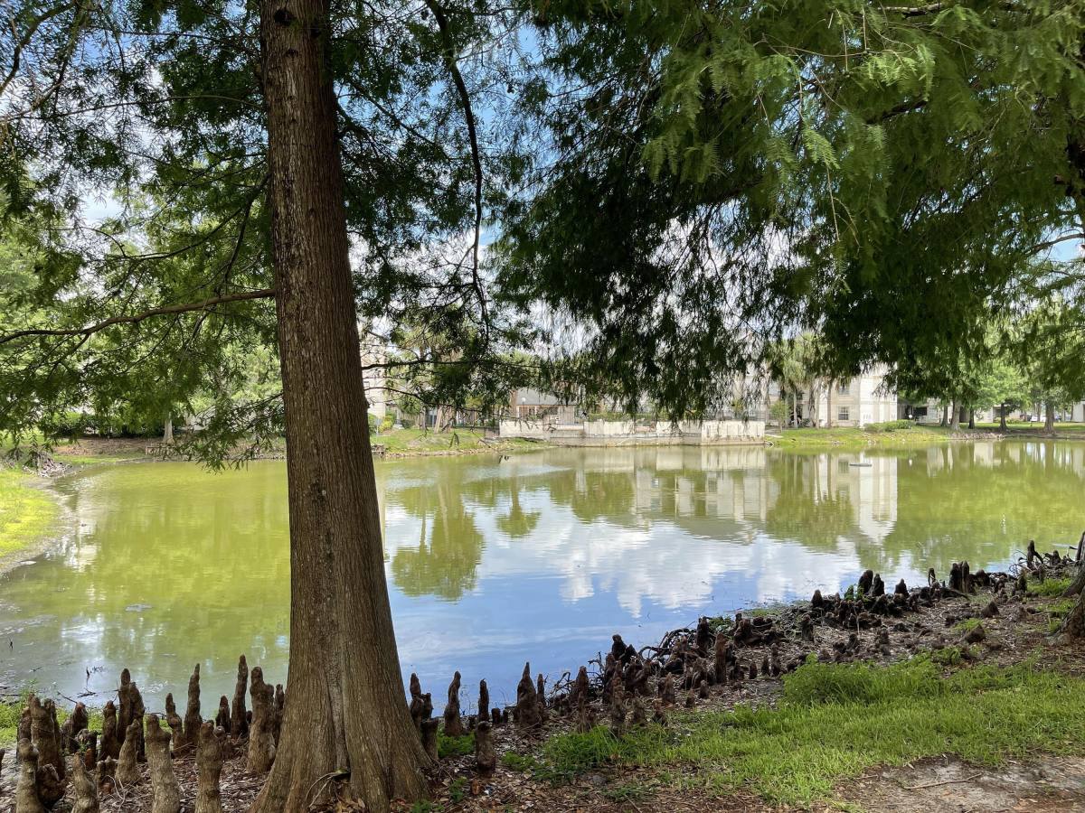 Condo for rent at The Plaza Condominiums, 1940 Lake Atriums Circle #108, Orlando, FL 32839