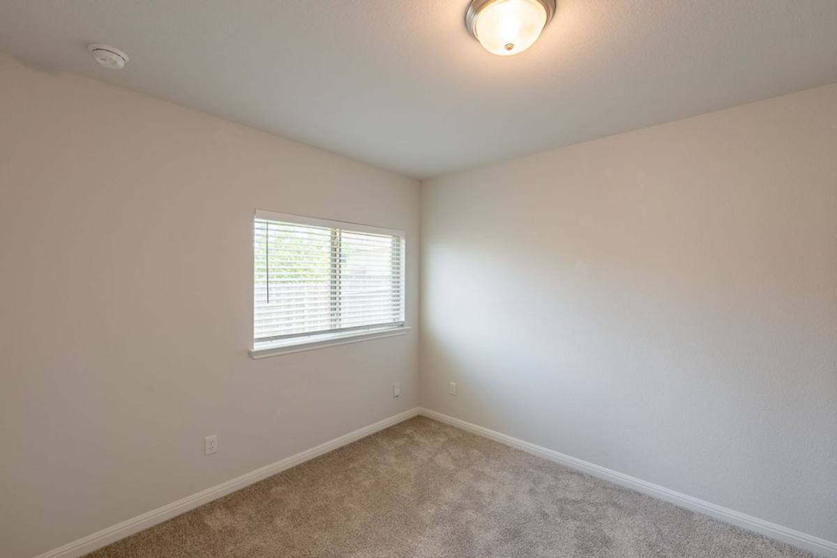 House for rent at 160 Night Sky Dr, Kyle, TX 78640
