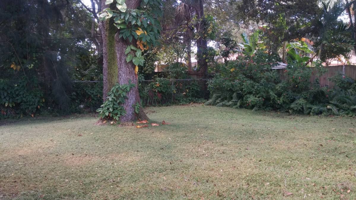 House for rent at 5660 81st Ave N, Pinellas Park, FL 33781