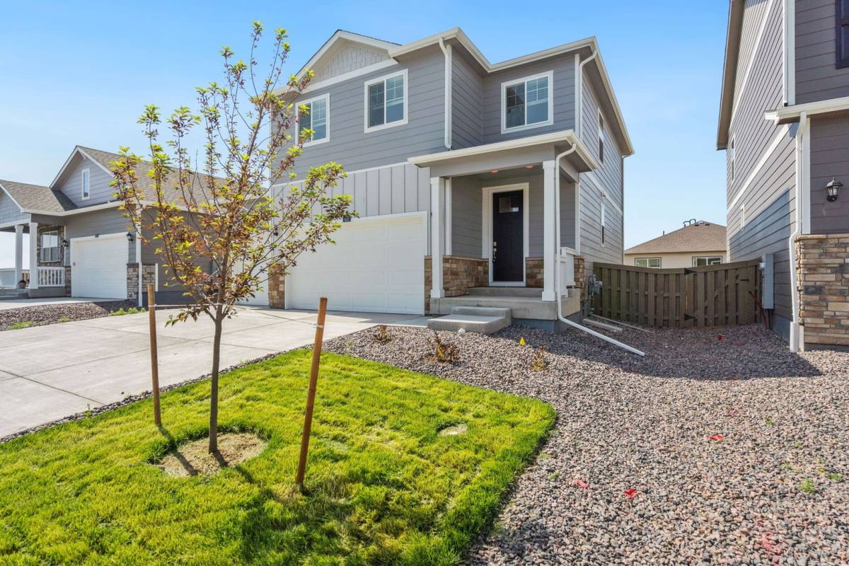 House for rent at 815 Elias Tarn Dr, Windsor, CO 80550