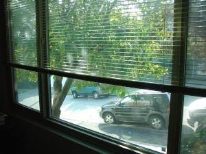 Apartment for rent at 1300 6th Ave N, Seattle, WA 98109
