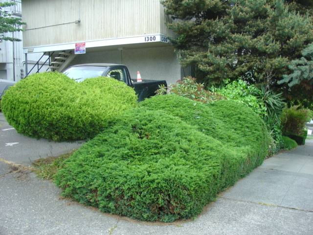 Apartment for rent at 1300 6th Ave N, Seattle, WA 98109