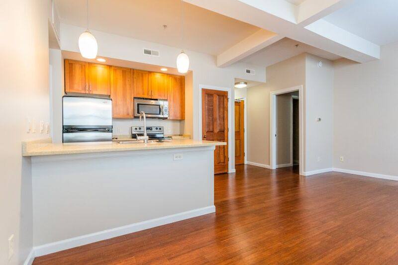 Apartment for rent at 181 N Main St #203, Harrisonburg, VA 22802
