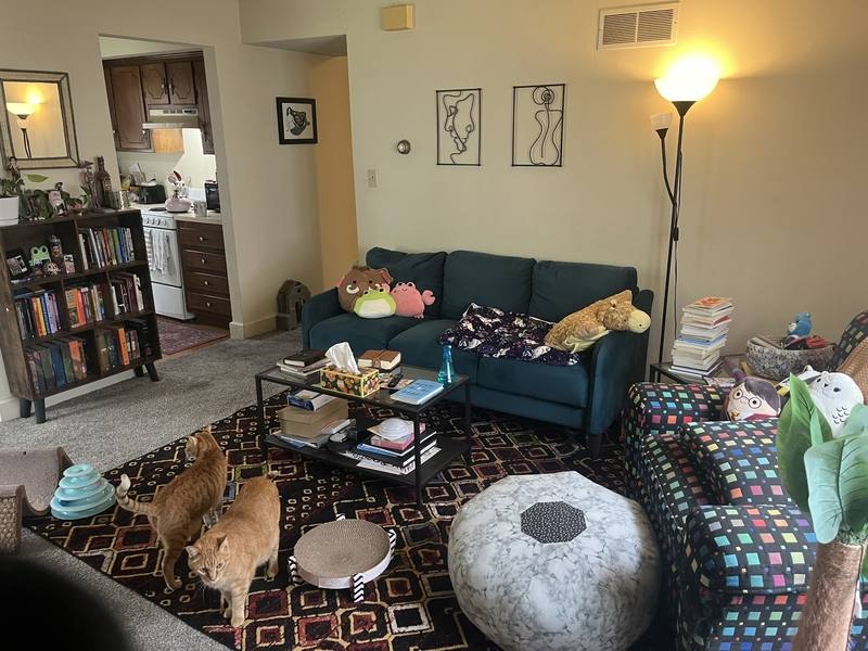 House for rent at 1342 New Jersey St, Lawrence, KS 66044