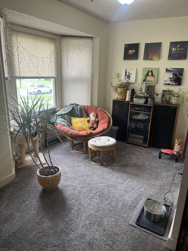 House for rent at 1342 New Jersey St, Lawrence, KS 66044