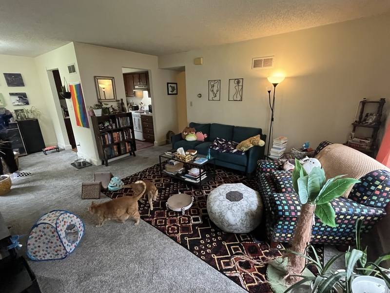 House for rent at 1342 New Jersey St, Lawrence, KS 66044