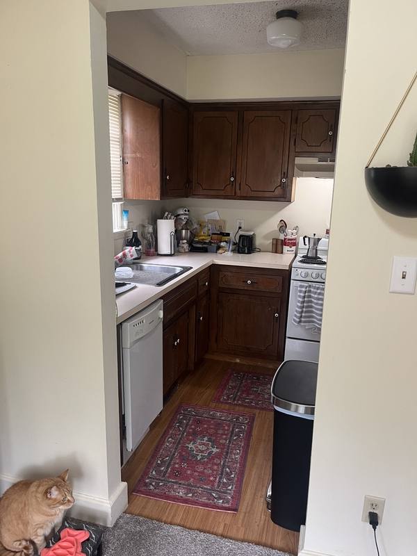 House for rent at 1342 New Jersey St, Lawrence, KS 66044