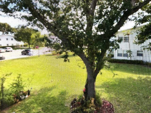 Condo for rent at 260 Newport P #260, Deerfield Beach, FL 33442