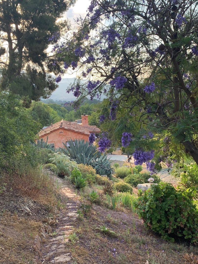 House for rent at 10000 N Signal, Ojai, CA 93023