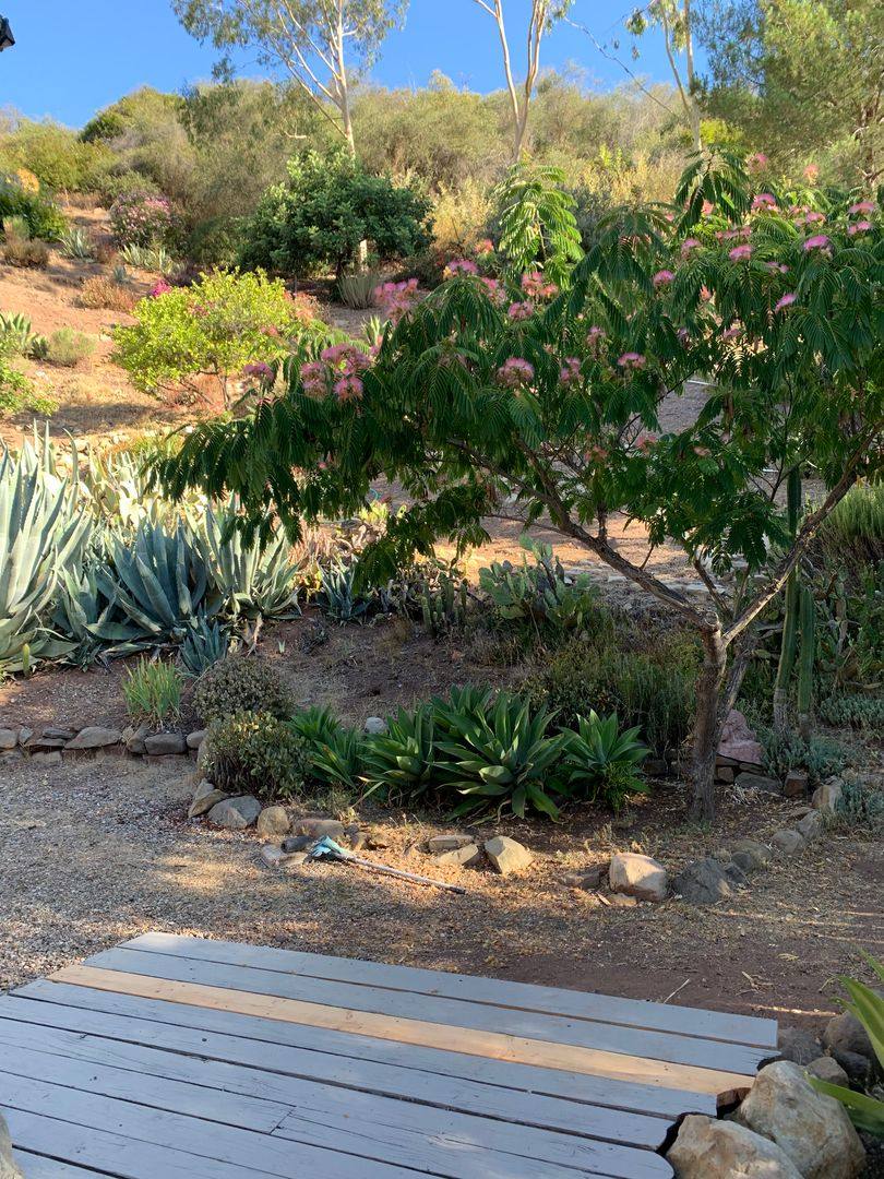 House for rent at 10000 N Signal, Ojai, CA 93023