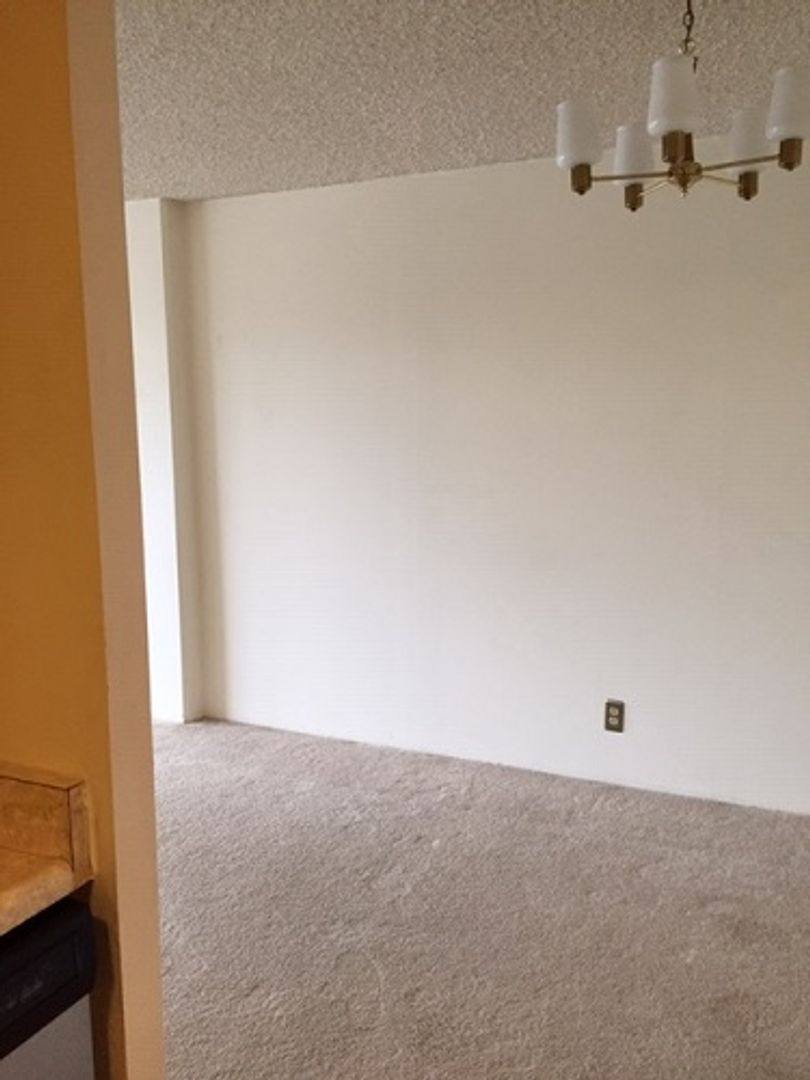 Apartment for rent at 421 S Howes St, Fort Collins, CO 80524