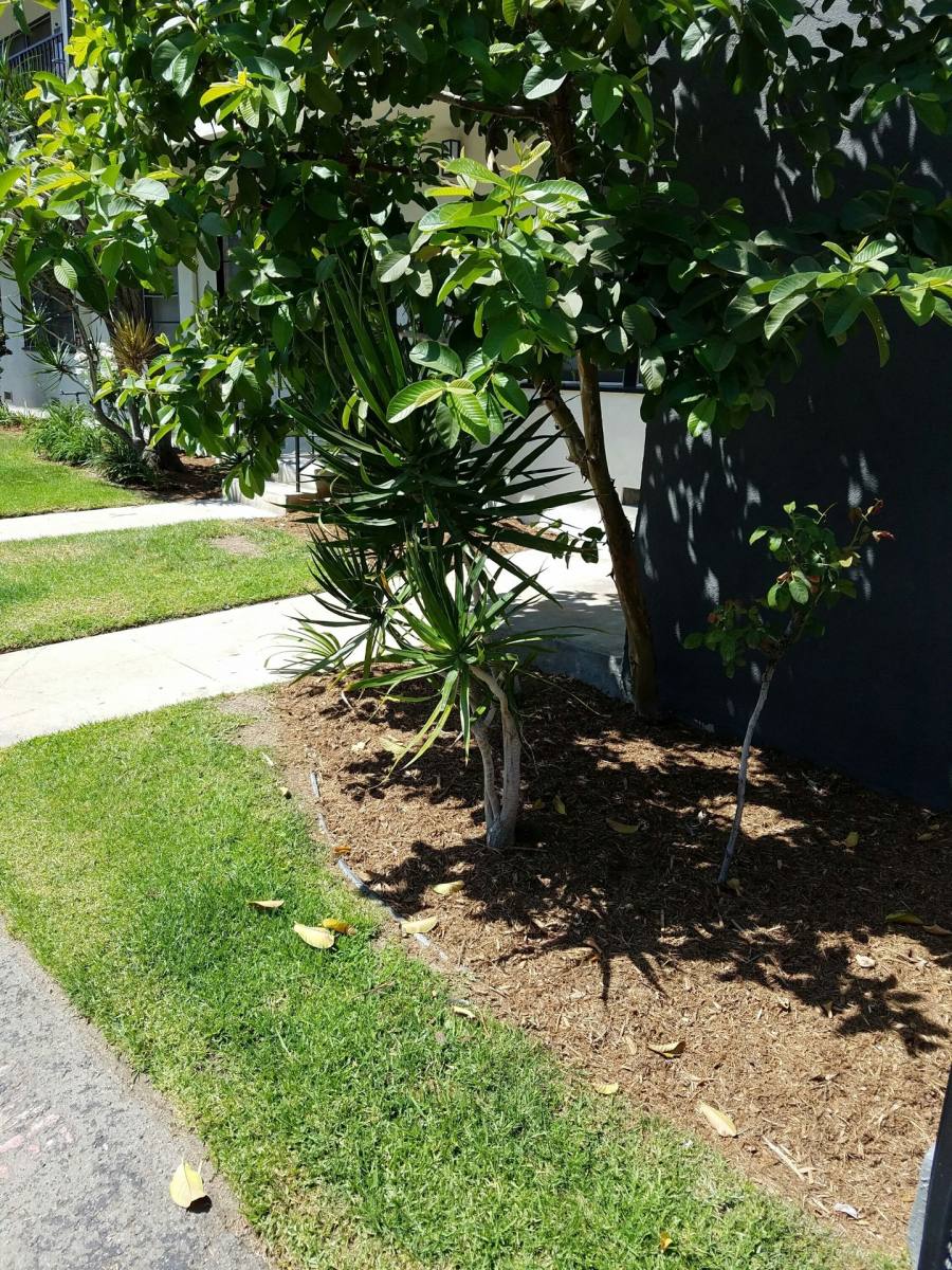 Townhouse for rent at 438-440 E Acacia Ave, Glendale, CA 91205