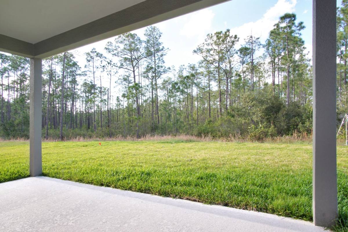 House for rent at 1419 Eucalyptus Way, Davenport, FL 33837
