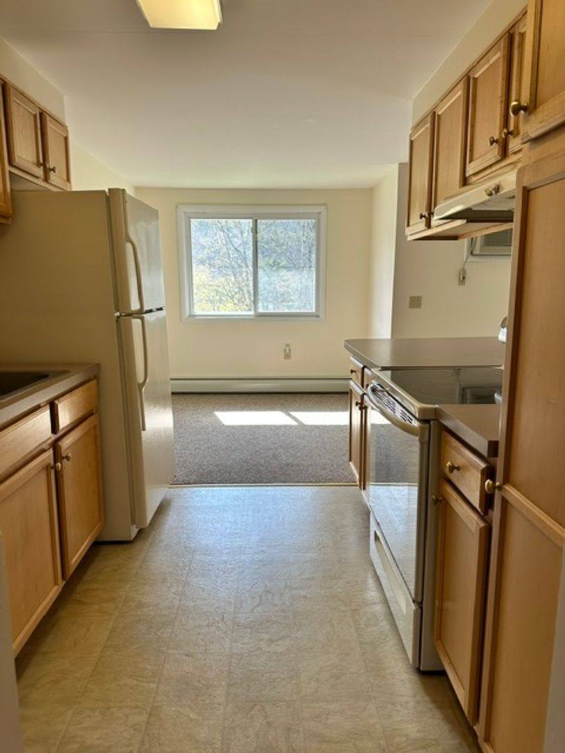 Apartment for rent at 220 Fox St, Sidney, NY 13838