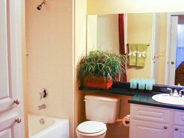 Apartment for rent at 11500 Jollyville Rd #1013, Austin, TX 78759