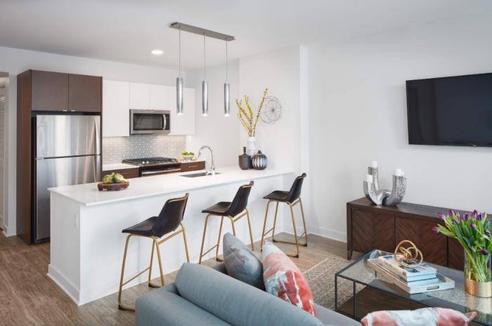 Apartment for rent at 1326 S Michigan #4607, Chicago, IL 60605
