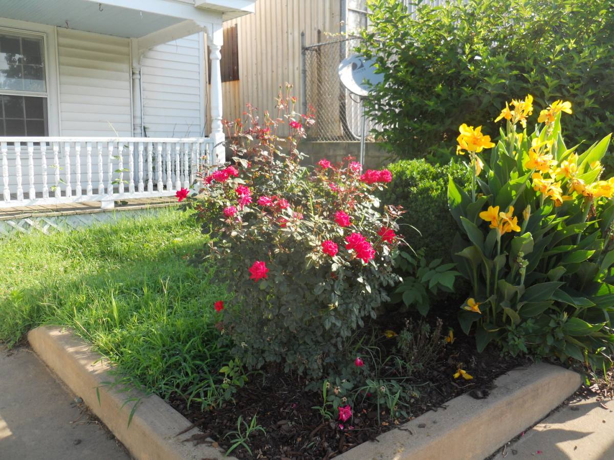 House for rent at 903 Grove St, Charlottesville, VA 22903