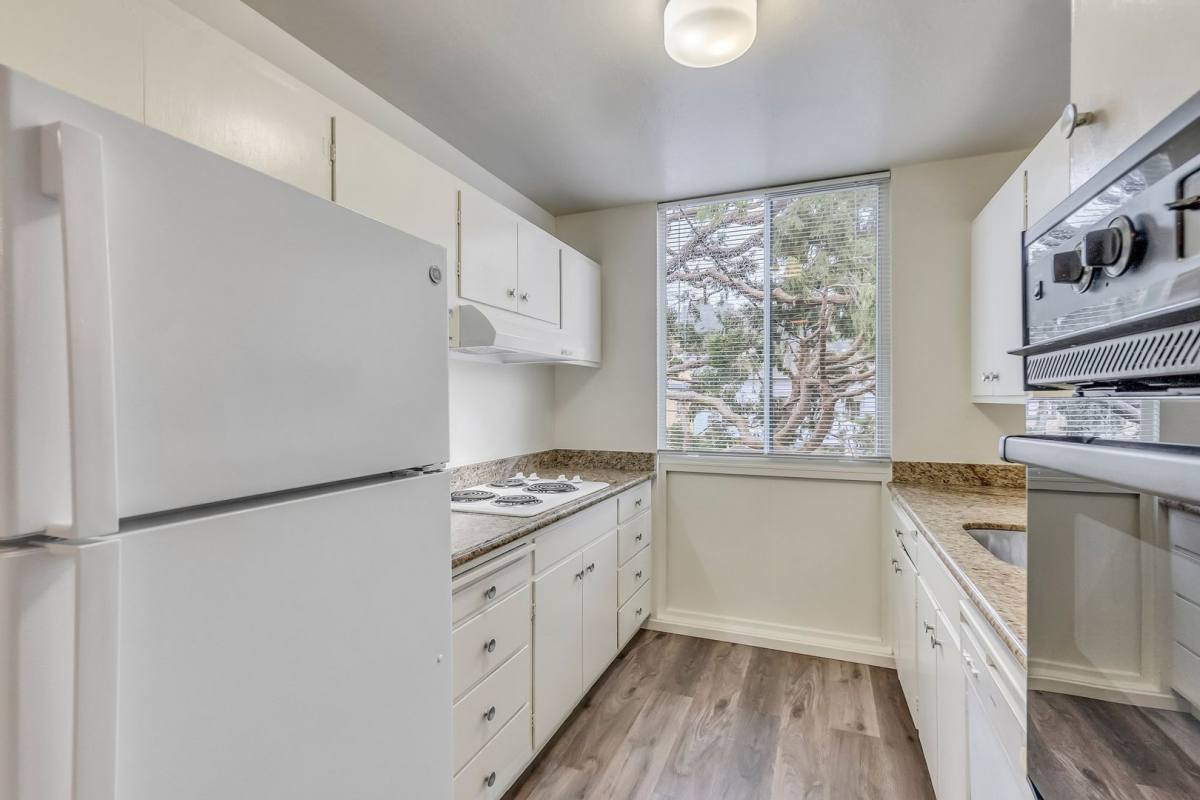 Apartment for rent at 1550 Walnut St, Berkeley, CA 94709