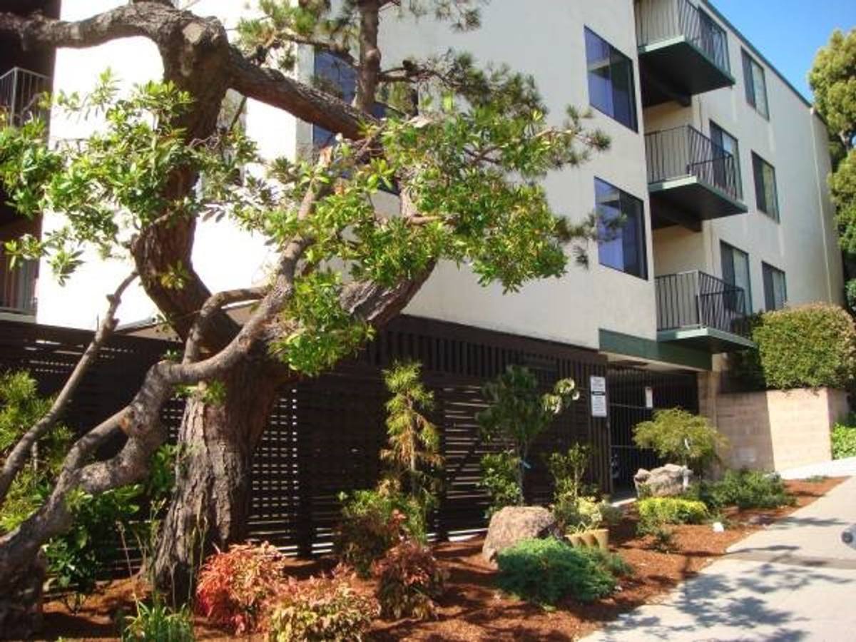 Apartment for rent at 1550 Walnut St, Berkeley, CA 94709
