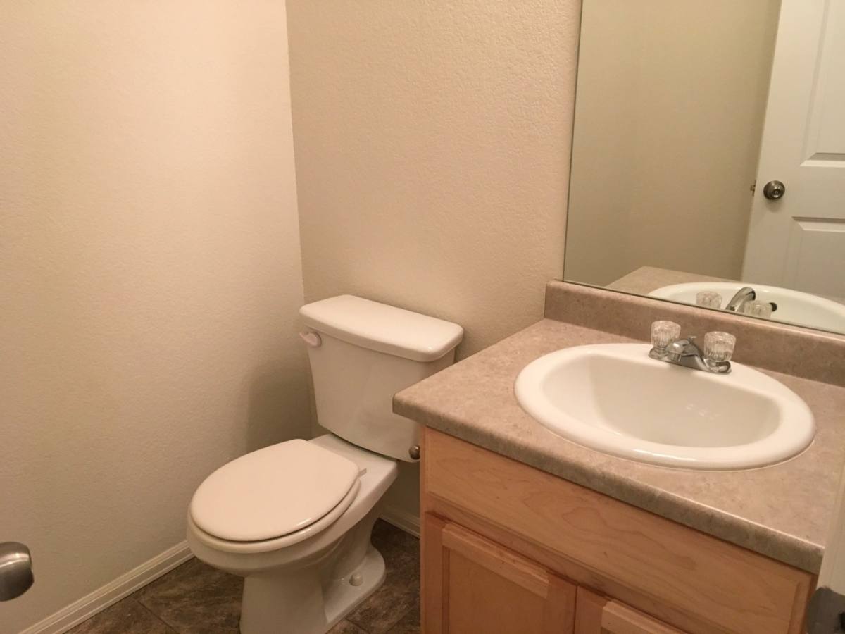 House for rent at 831 Lakebrook Court, Windsor, CO 80550