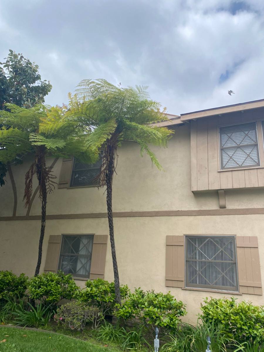 Apartment for rent at 1147 San Rafael Ave, Glendale, CA 91202