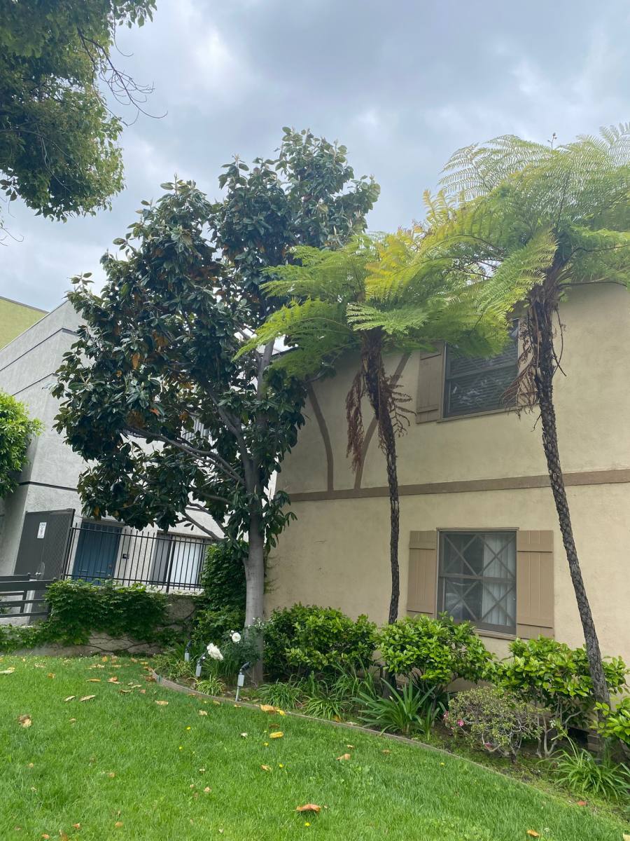 Apartment for rent at 1147 San Rafael Ave, Glendale, CA 91202