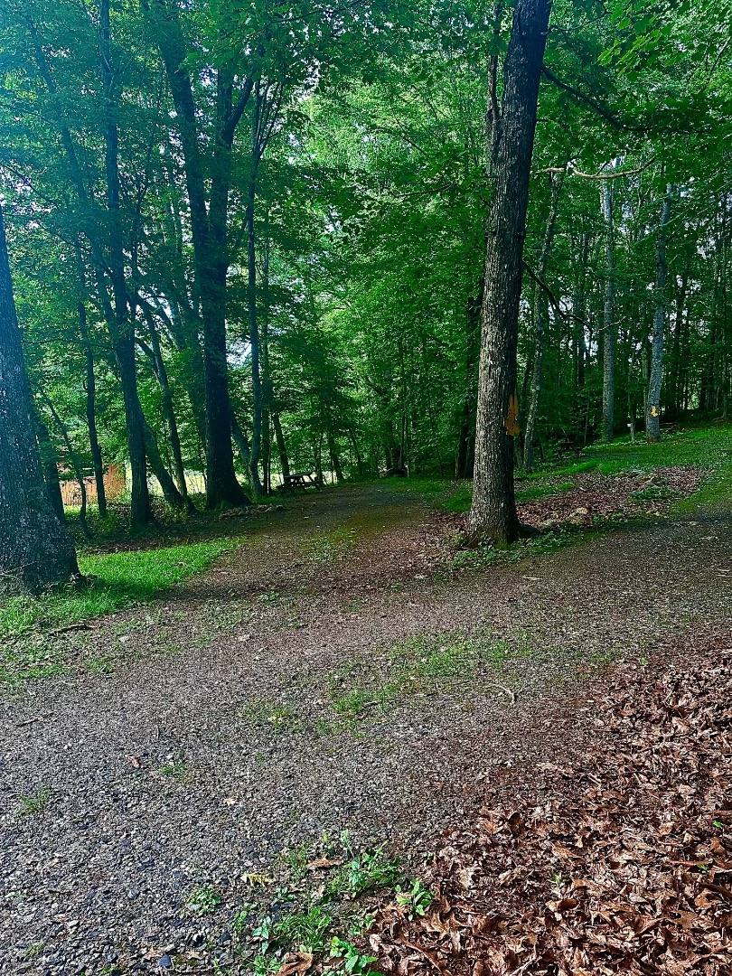 Apartment for rent at 2015 Union School Rd SW #SITE 33: Tiny Home, Willis, VA 24380