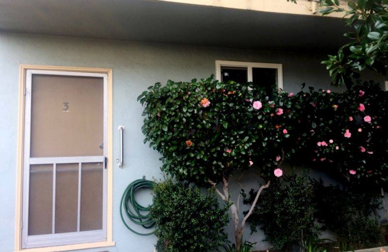 Apartment for rent at 40 Ross Ave #3, San Anselmo, CA 94960