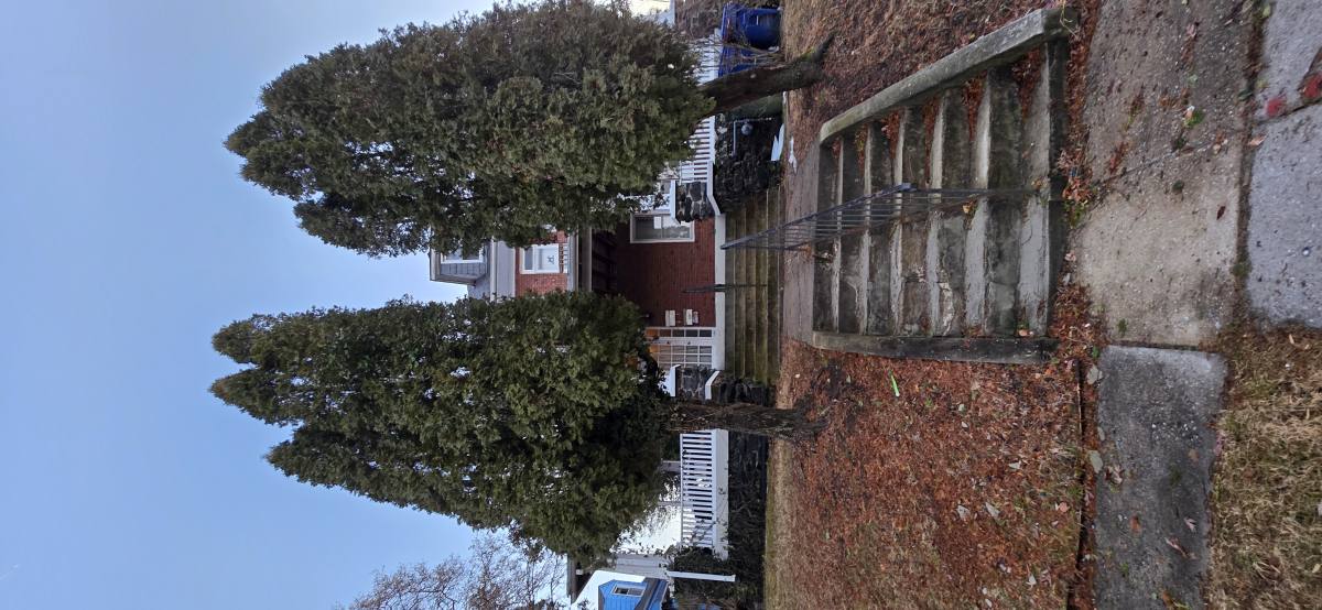 Apartment for rent at 3723 Nortonia Rd #1, Baltimore, MD 21216