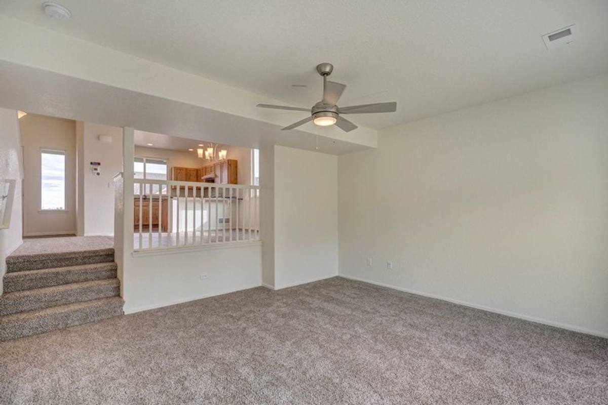House for rent at 2120 Orchard Bloom Dr, Windsor, CO 80550
