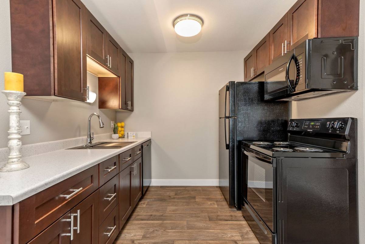 Apartment for rent at 4348 N Chestnut Ave, Colorado Springs, CO 80907