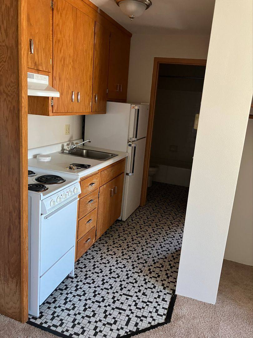 Apartment for rent at 225 6th Ave SW, Rochester, MN 55902