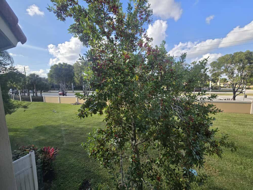 Condo for rent at 3516 Briar Bay Blvd #203, West Palm Beach, FL 33411