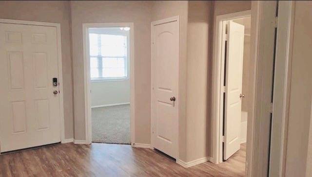 House for rent at 14207 Glacier Bay Court, Conroe, TX 77384