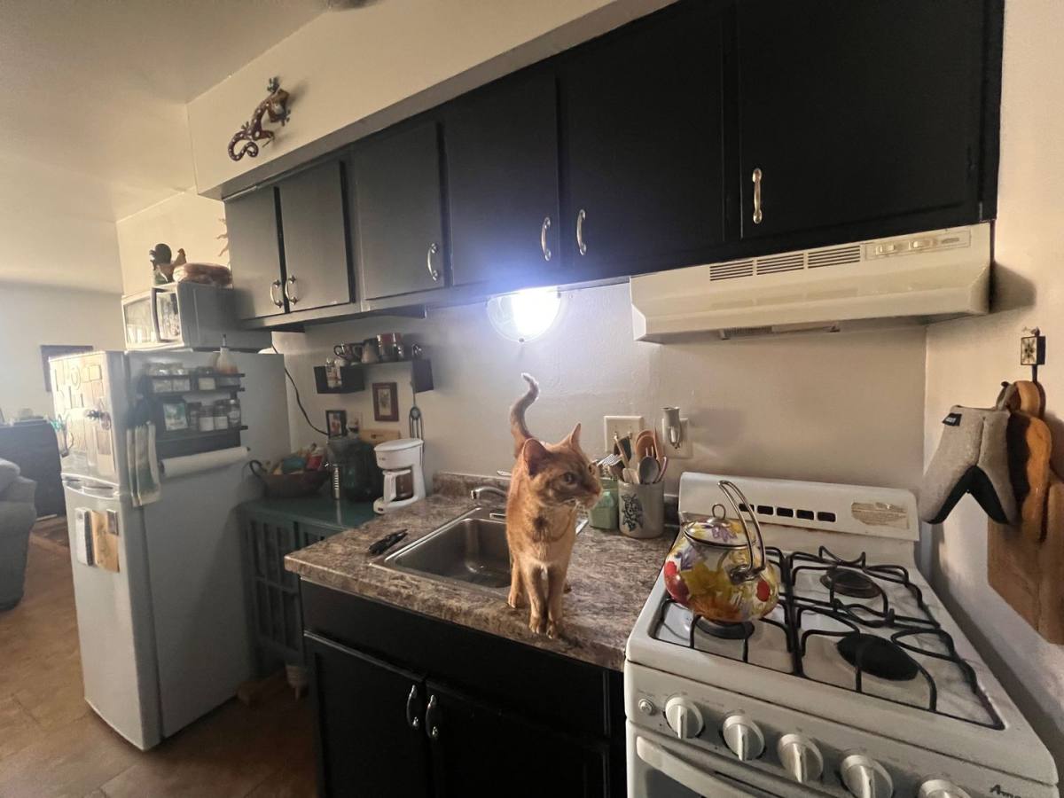 Apartment for rent at 1576 N Warren Ave, Milwaukee, WI 53202