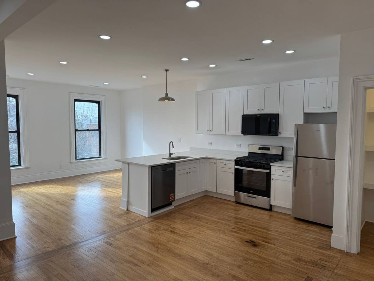 Apartment for rent at 1916-18 S Canalport, Chicago, IL 60616