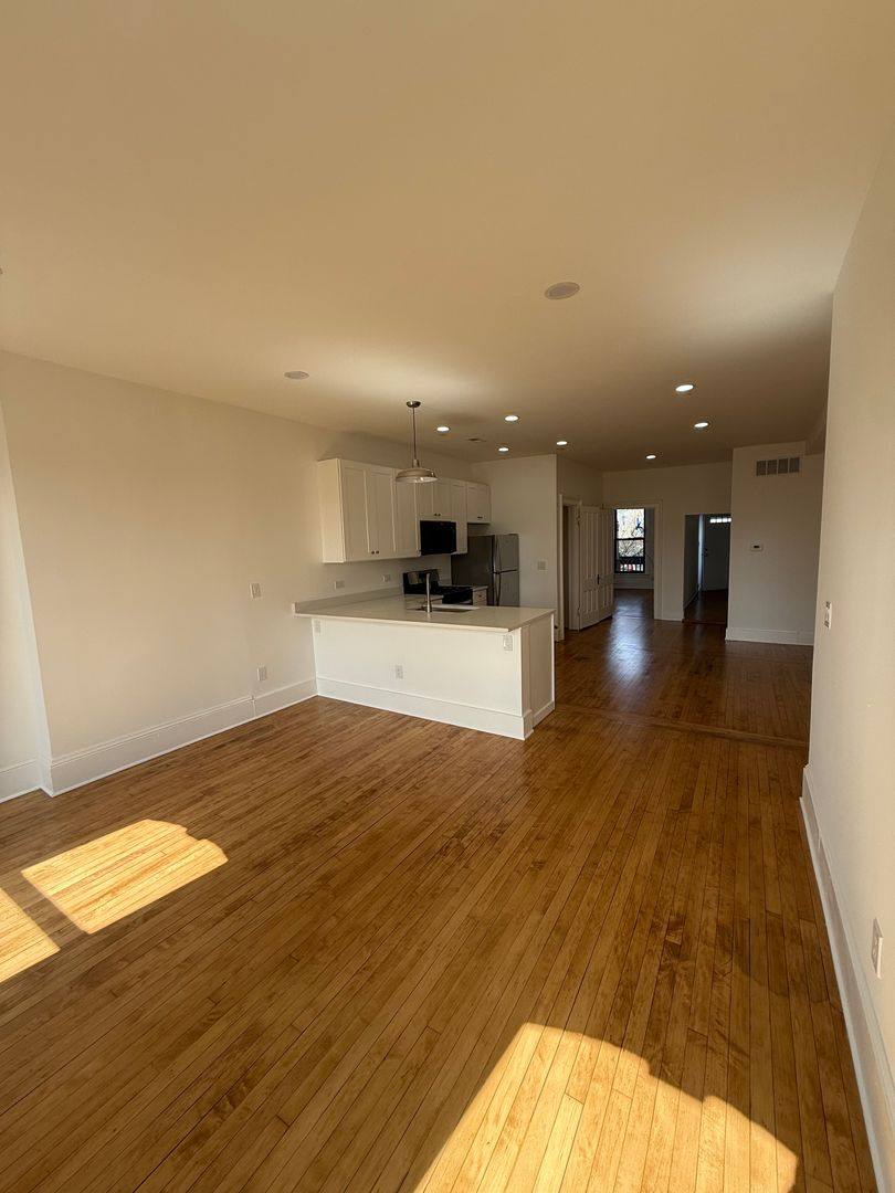 Apartment for rent at 1916-18 S Canalport, Chicago, IL 60616