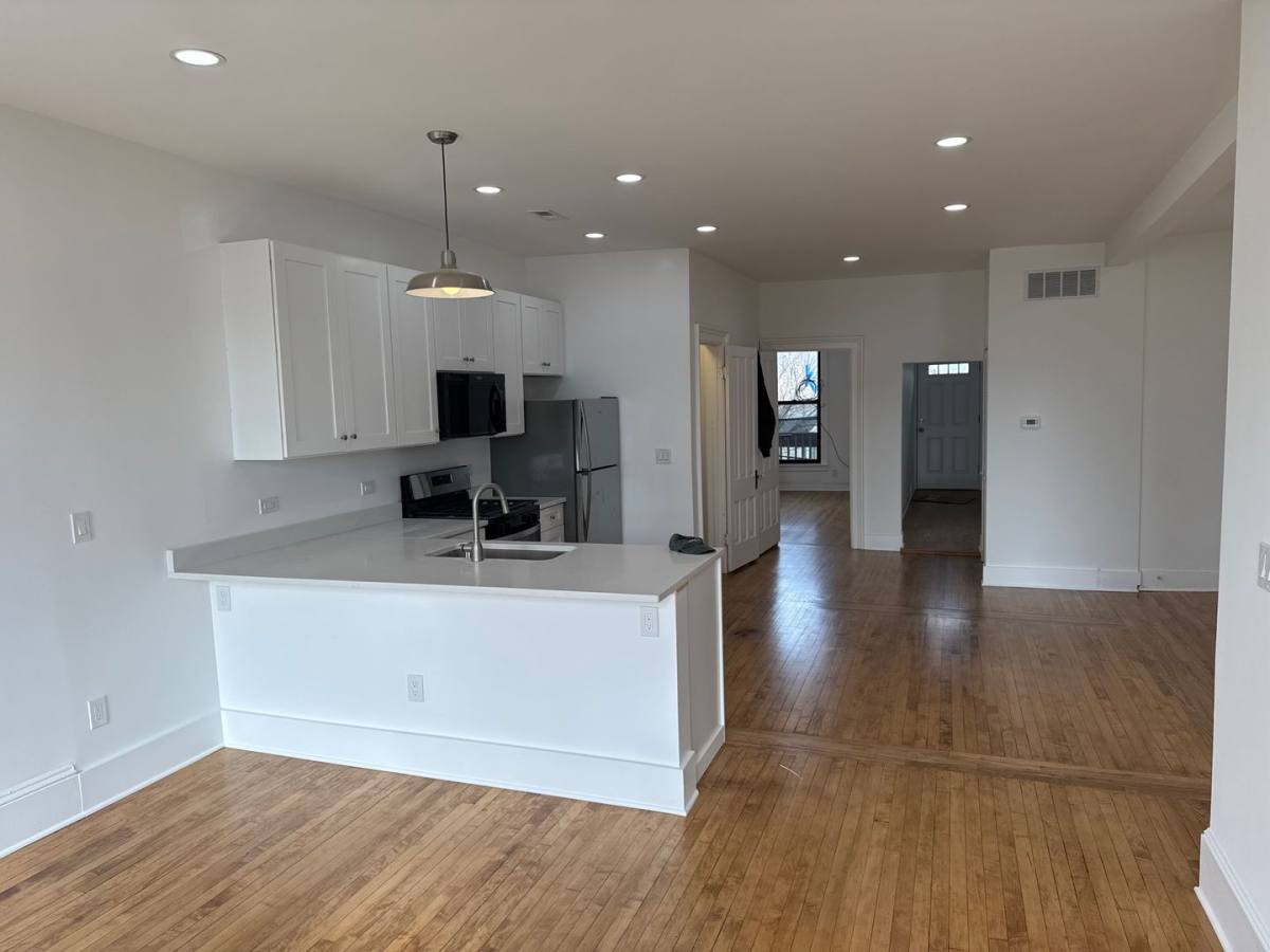 Apartment for rent at 1916-18 S Canalport, Chicago, IL 60616