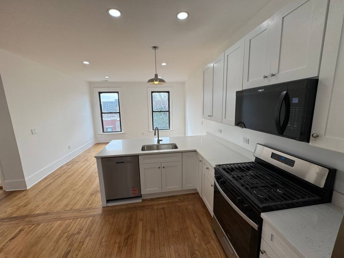 Apartment for rent at 1916-18 S Canalport, Chicago, IL 60616