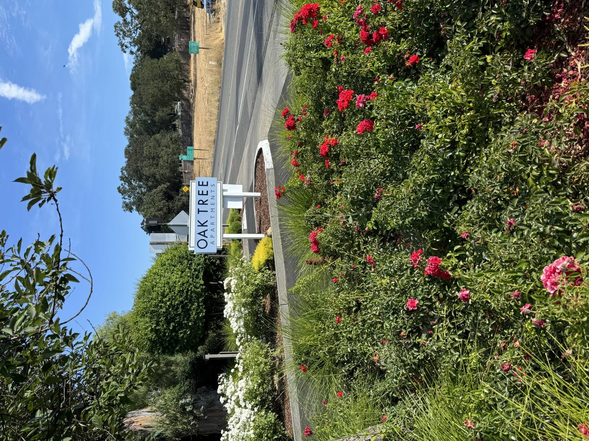 Apartment for rent at 16914 Sonoma Highway 6, Sonoma, CA 95476