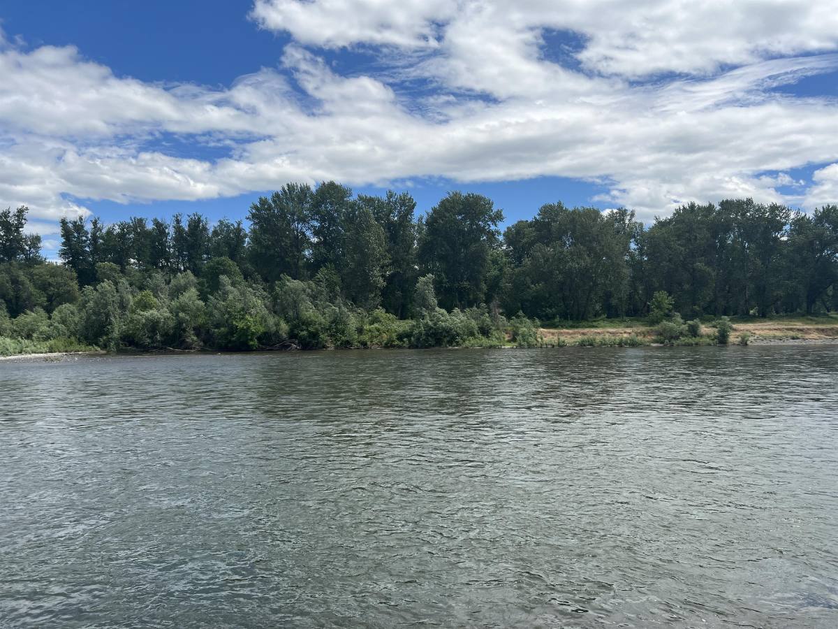 House for rent at 8401 Riverbanks Rd, Grants Pass, OR 97527