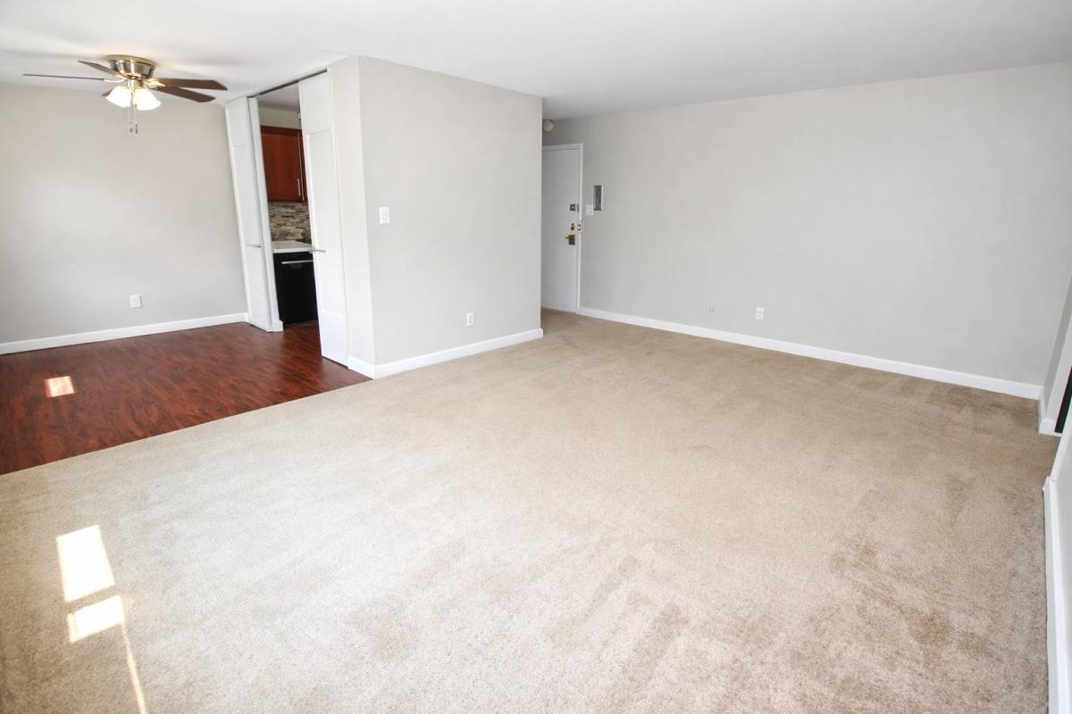 Apartment for rent at Anita Hall, 513 N Neville St, Pittsburgh, PA 15213