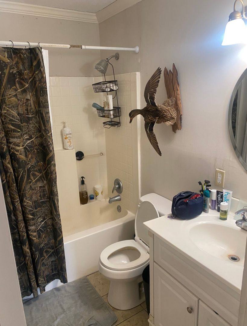 House for rent at 503 Overstreet Dr, Starkville, MS 39759