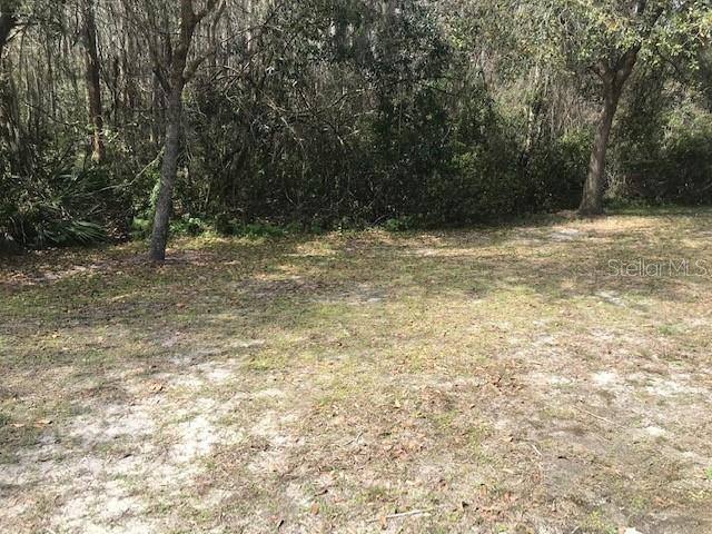 Townhouse for rent at 1135 Baronscourt Dr, Wesley Chapel, FL 33543