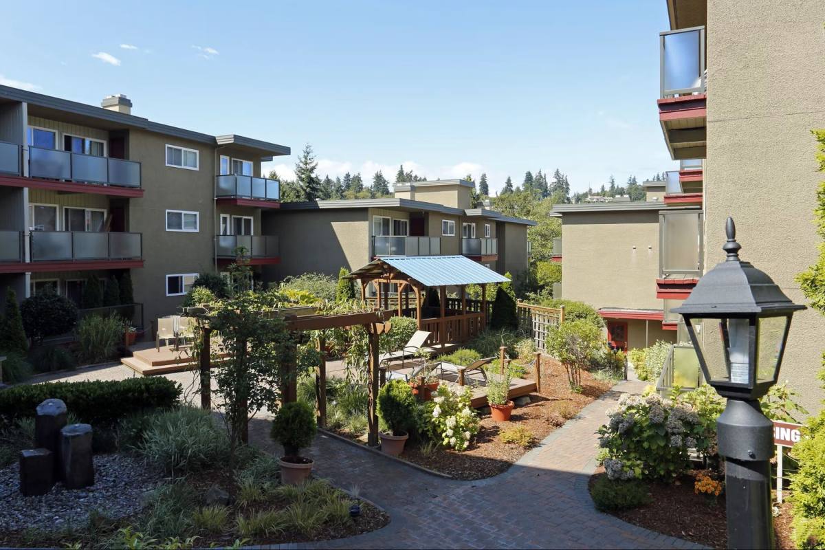 Apartment for rent at 537 Y SE, Bellevue, WA 98004