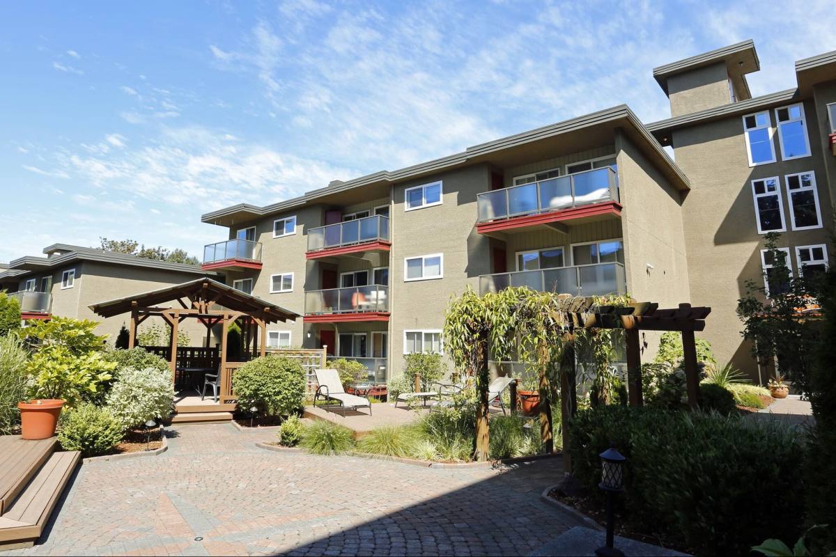Apartment for rent at 537 Y SE, Bellevue, WA 98004